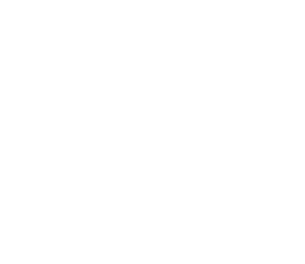 BankID logo